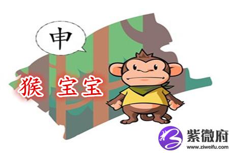 属猴寓意好的男孩乳名
