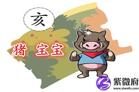 属猪男宝宝取乳名技巧