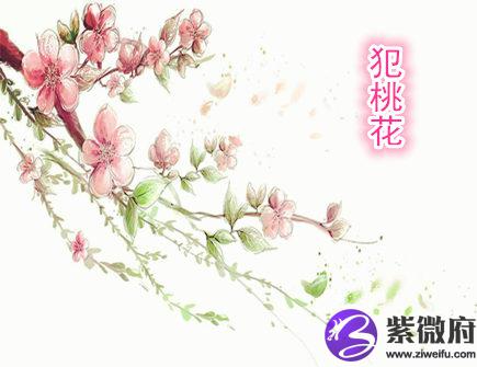 容易犯桃花的生肖
