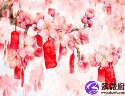 桃花运最旺的生肖
