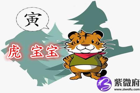 属虎寓意好的女孩乳名