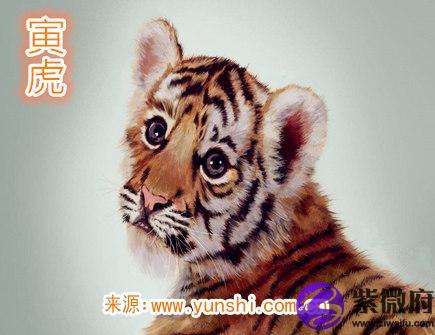 属虎人一生有哪些灾难