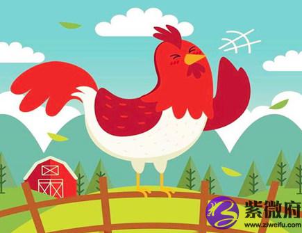 属鸡人一生有哪些灾难