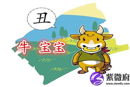 属牛寓意好的女孩乳名