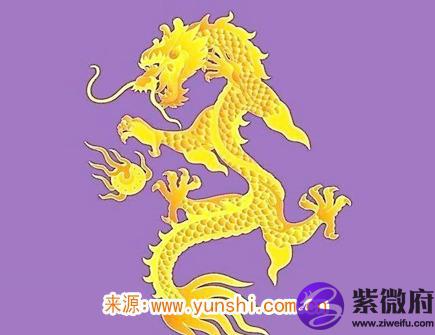 属龙纹身纹什么旺财
