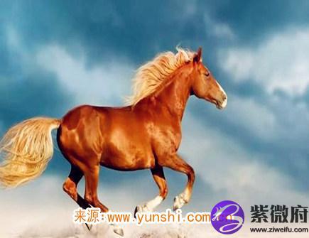 属马纹身纹什么旺财