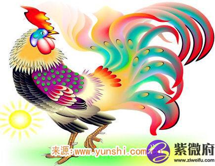 属鸡纹身纹什么旺财