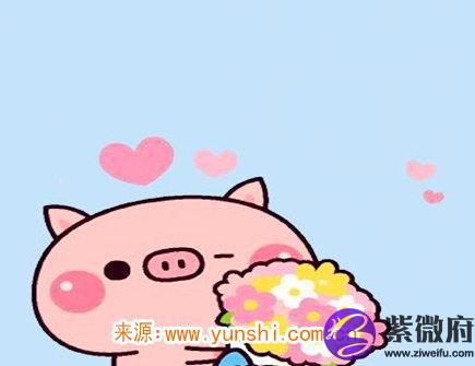 属猪纹身纹什么旺财