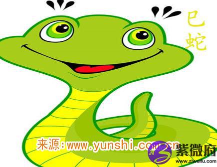 属蛇什么时辰出生命苦
