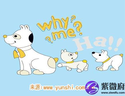 属狗什么时辰出生命苦