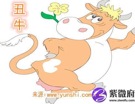 属牛纹身纹什么旺财