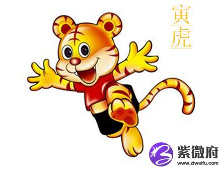 属虎人开店摆放什么招财