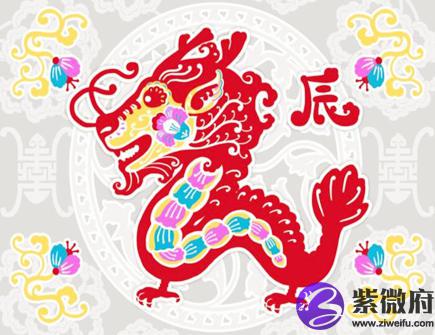 属龙人开店摆放什么招财