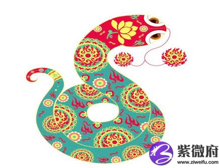 属蛇人开店摆放什么招财