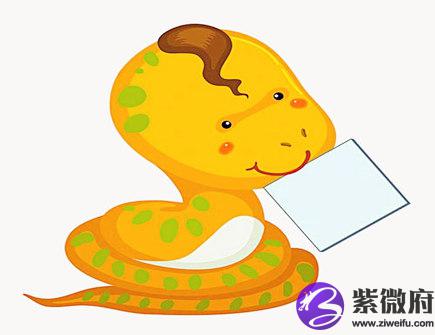 属蛇人适合开什么店
