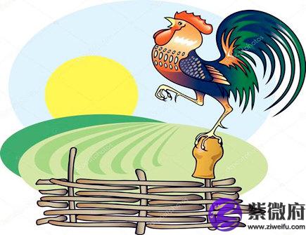 属鸡起名忌讳什么