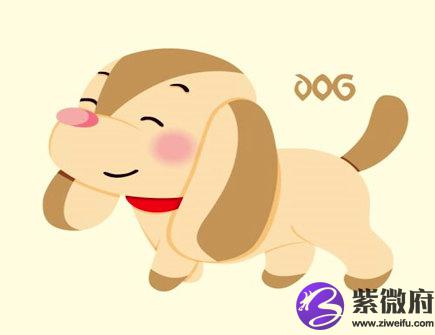 属狗起名忌讳什么