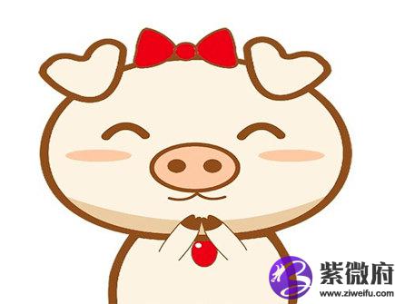属猪起名忌讳什么