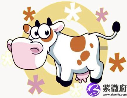 属牛人适合开什么店