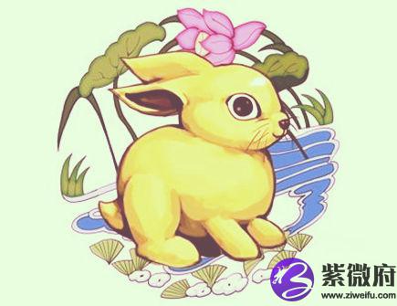 属兔人2021年健康运如何