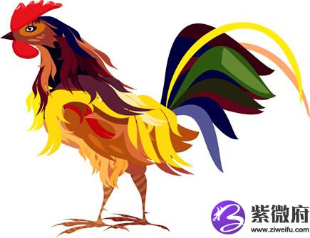 属鸡人2021年健康运如何