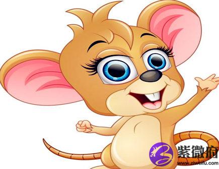 属鼠起名忌讳什么