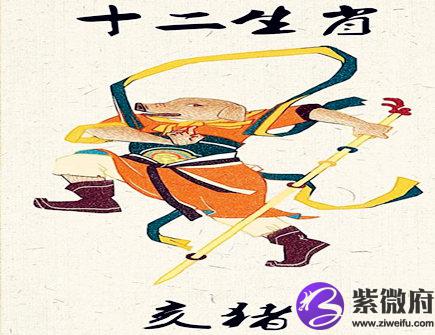 生肖猪2021年财运怎么样