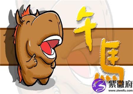 属马床头朝哪个方向好