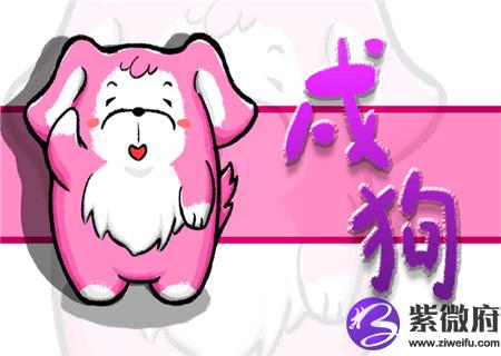 属狗床头朝哪个方向好