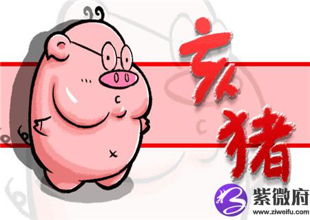 属猪床头朝哪个方向好 