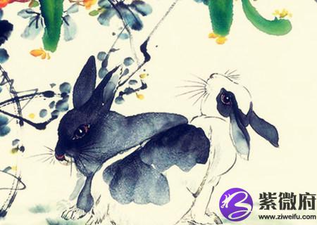 属兔的桃花运在几月份