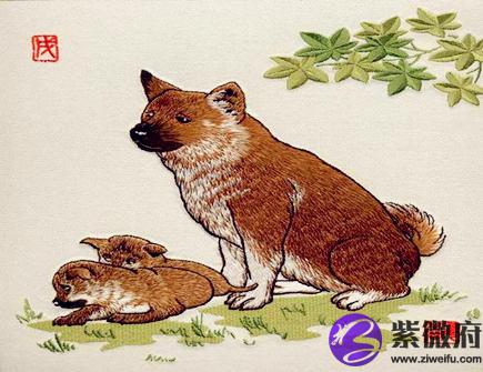 属狗人的买房忌讳