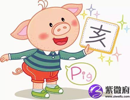 属猪人的买房忌讳