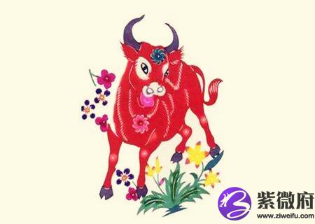 属牛的桃花运在几月份