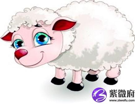 属羊人的买房忌讳