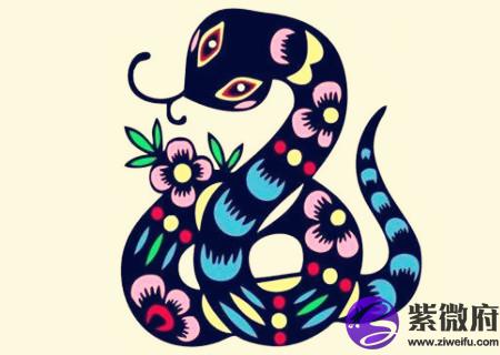 属蛇的幸运花是什么花