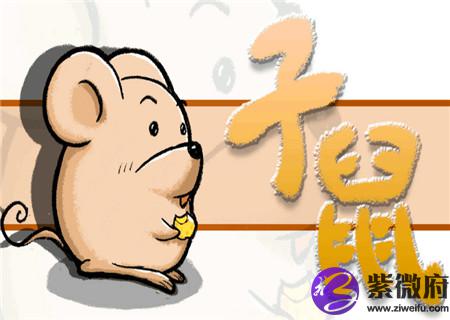 属鼠床头朝哪个方向好