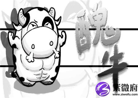 属牛床头朝哪个方向好 