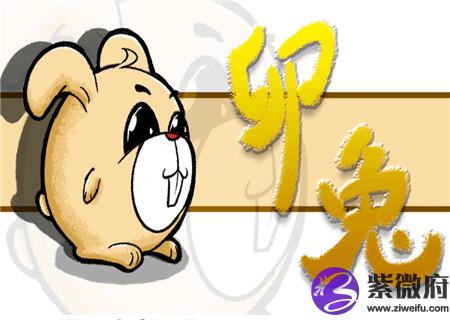 属兔床头朝哪个方向好 