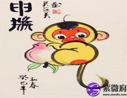 属猴的男人事业运好不好