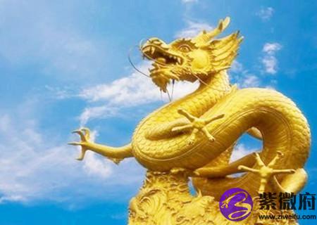 属龙的幸运花是什么花