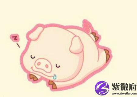 属猪男人的财运好不好