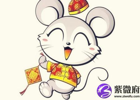 属鼠的幸运花是什么花