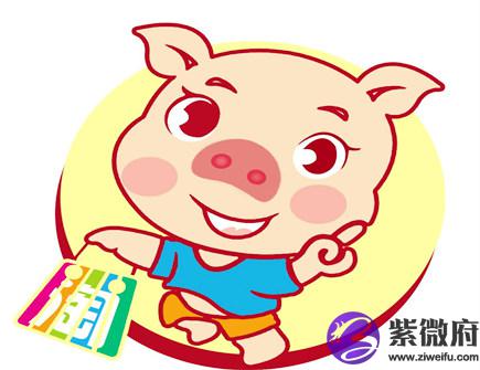 属猪的女人事业运好不好