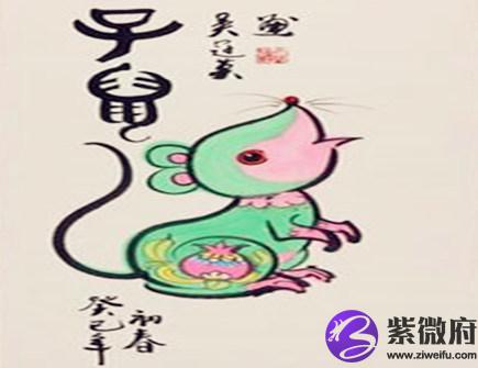 属鼠的男人事业运好不好