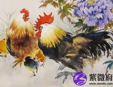 属鸡男人的财运好不好