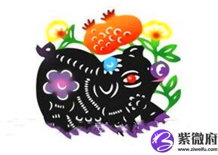 2021年属猪总体运势