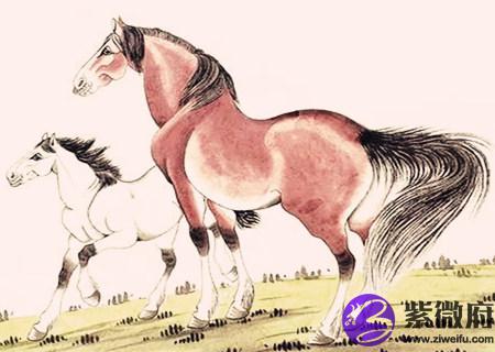 属马男人的财运好不好