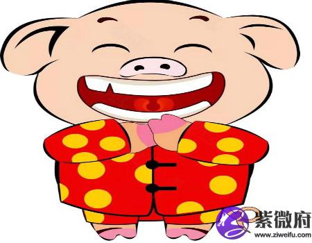属猪适合开什么颜色的车