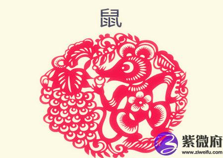 属鼠男人的财运好不好